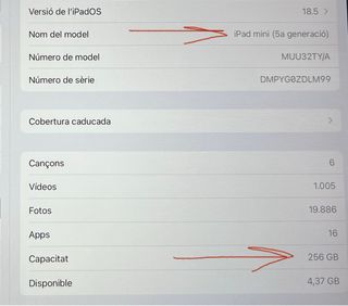 iPad mini 5 256 GB