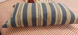 Cojín Rayas 66x36cm