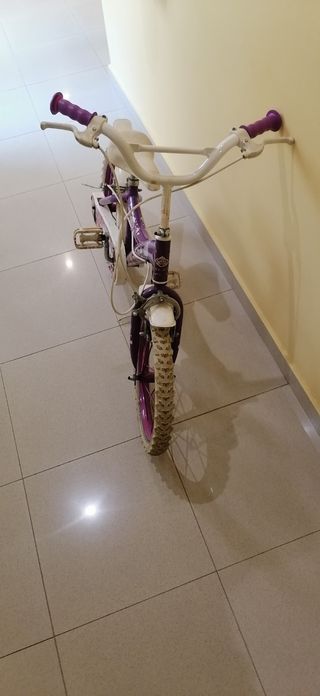 Bicicleta infantil morada