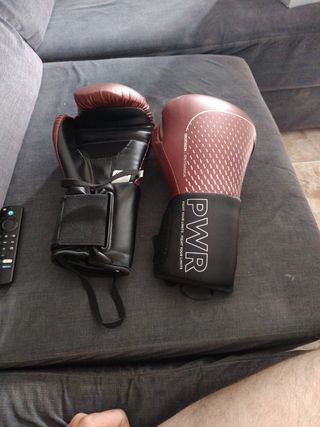 Guantes de Boxeo PWR y DX2