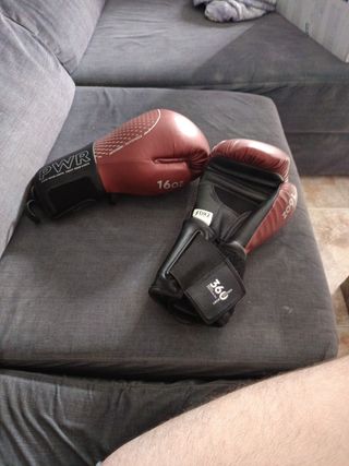 Guantes de Boxeo PWR y DX2