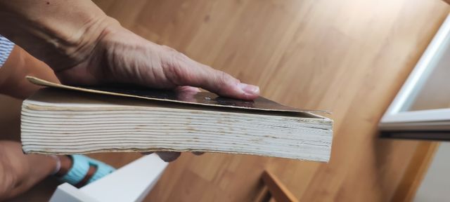 Biblia en portugués