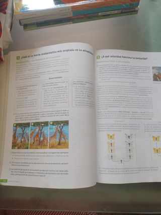 Biología y Geología. 4 Secundaria. Revuela