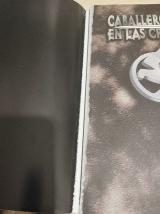 Caballero Negro en las cruzadas