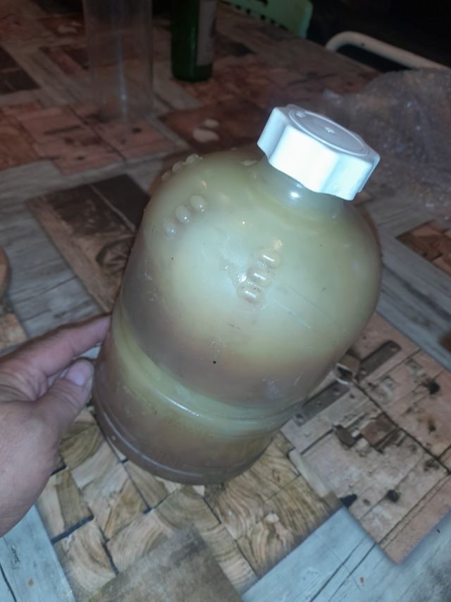 Vaso de expansión Renault usado