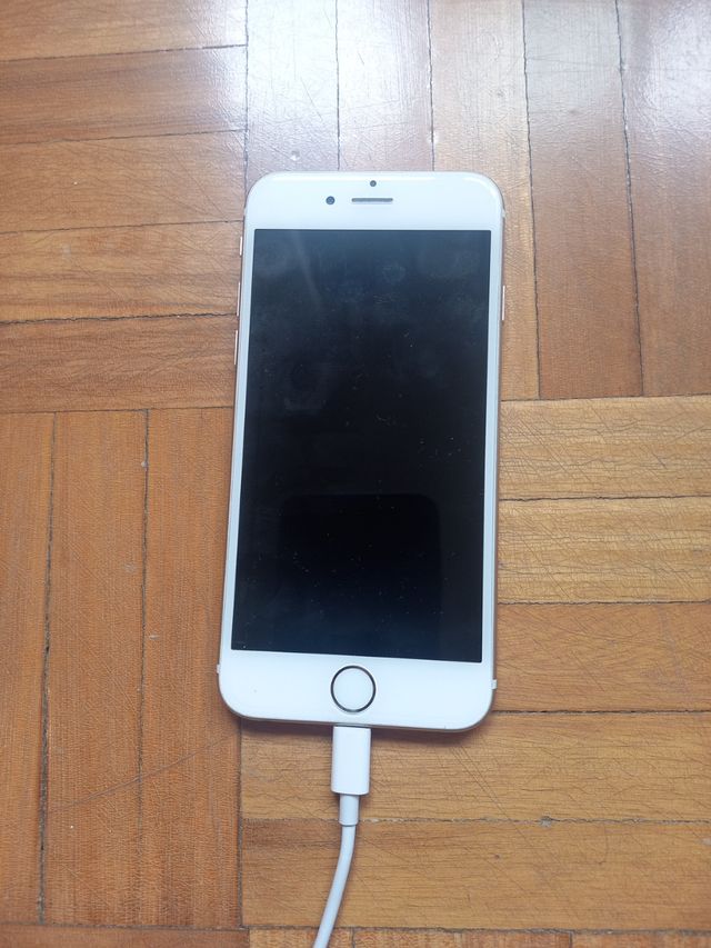 Apple iPhone 6 Blanco