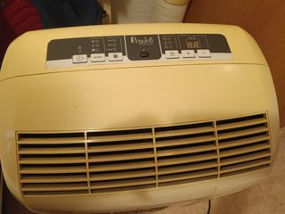 Pingüino Delonghi 9800 BTU/h