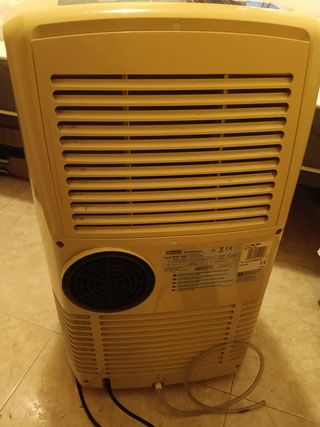 Pingüino Delonghi 9800 BTU/h