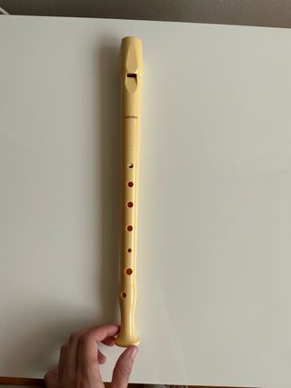 Flauta dulce Hohner con fundas y limpiadores