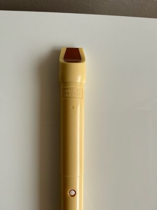 Flauta dulce Hohner con fundas y limpiadores