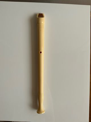 Flauta dulce Hohner con fundas y limpiadores