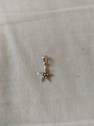 Colgante Estrella de Mar Plata 925