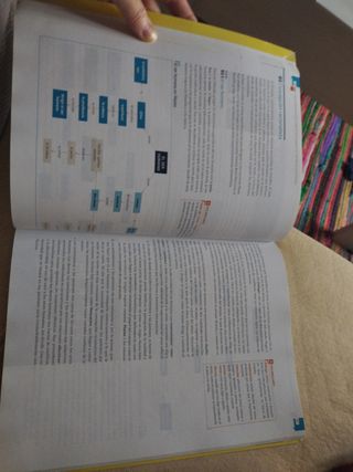 Filosofía, Bachillerato 1