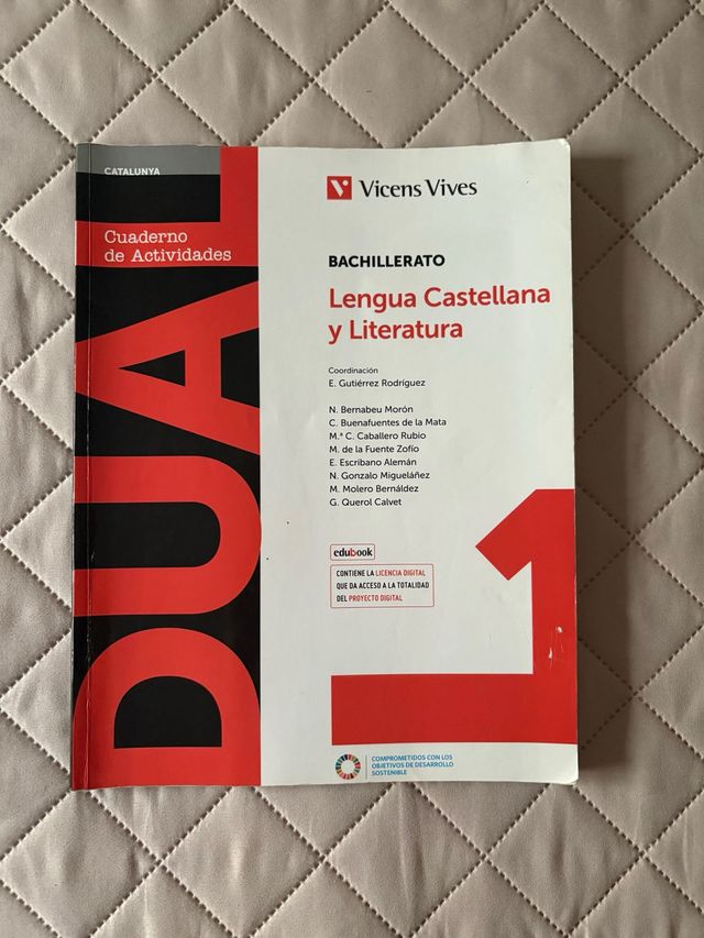 Lengua Castellana Y Literatura