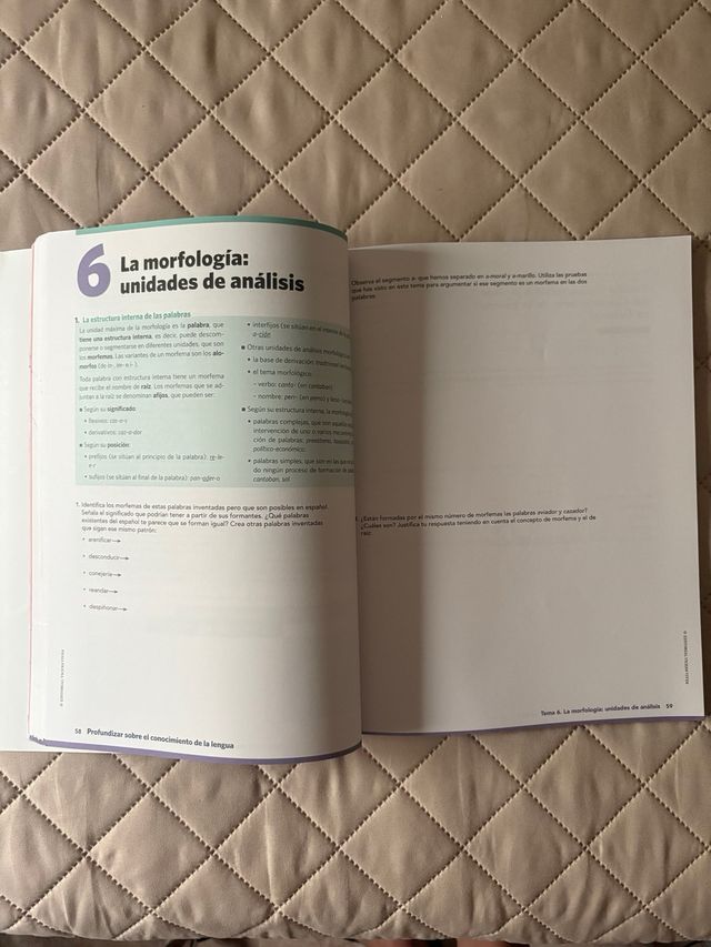 Lengua Castellana Y Literatura