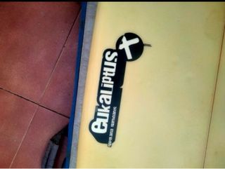 Tabla de surf evolutiva Eukaliptus