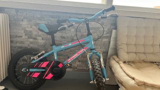 Bicicleta infantil azul