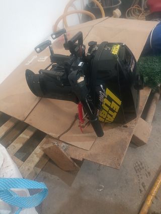 Motor fueraborda 13.5 CV