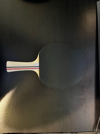 Pala Ping Pong He Zhi Wen World Champion
