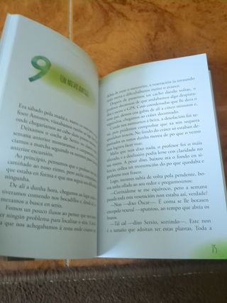 Aventuras de Txano e Óscar. A pedra verde