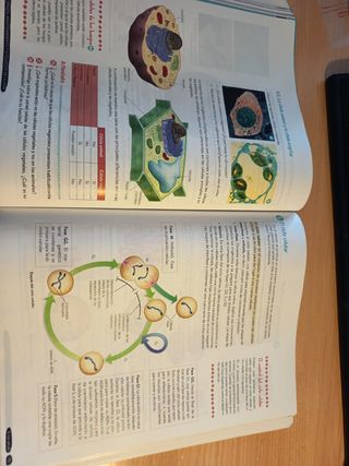 Biología y Geología 4º ESO. Libro del estudiant...