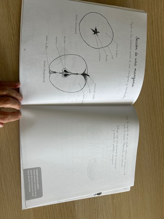 Mi cuaderno Montessori +5