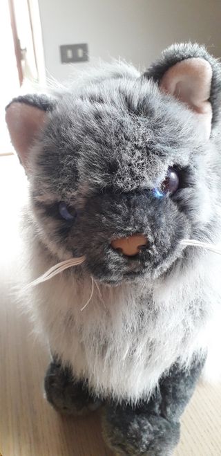 Peluche Gatto Siamese