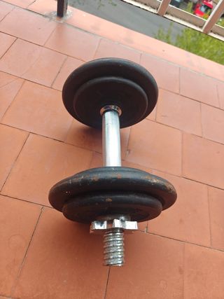 Mancuerna 10KG DOMYOS