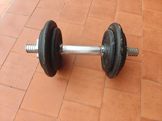 Mancuerna 10KG DOMYOS