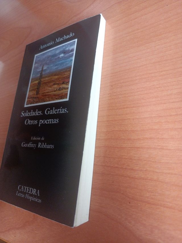 LIBRO SOLEDADES; GALERIAS; OTROS POEMAS