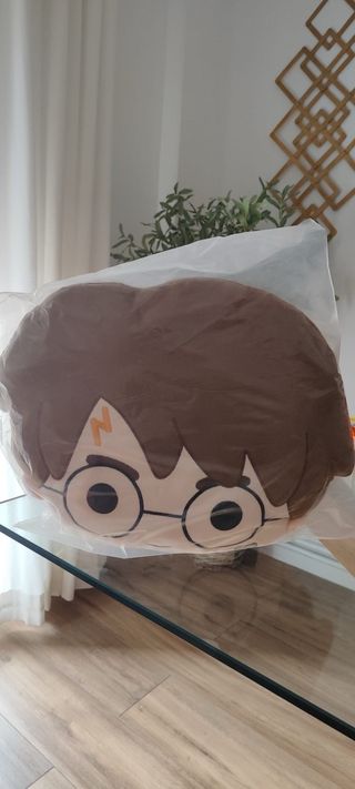 Cojín Harry Potter