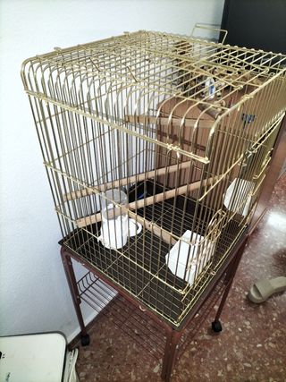 Jaula para loro grande
