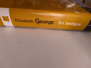 Sin Testigos/ With No One As Witness (Spanish E...