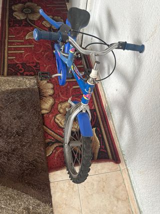 Bicicleta Infantil Fantasy Azul