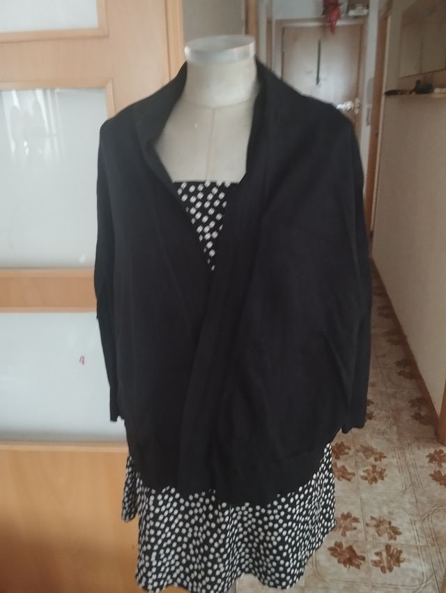 Rebeca americana negra