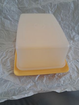 Contenitore Tupperware per burro e formaggi