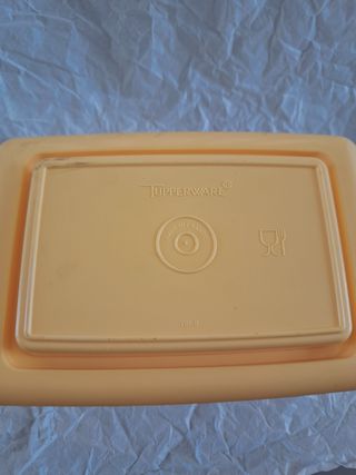 Contenitore Tupperware per burro e formaggi