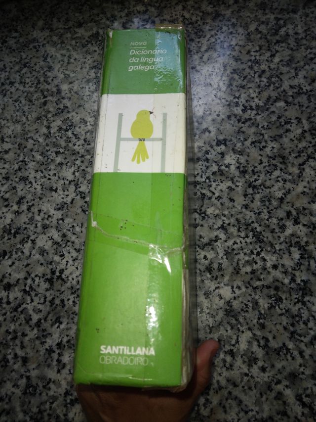 Diccionario escolar lengua Gallega