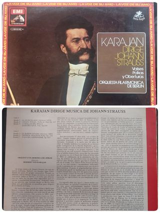 Lote Vinilos Música Clásica