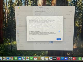 MacBook Air M1 256GB/8GB - Batteria Originale