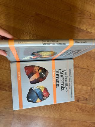 Coleccion atlas forograficos de anatomia humana