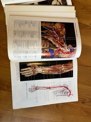 Coleccion atlas forograficos de anatomia humana