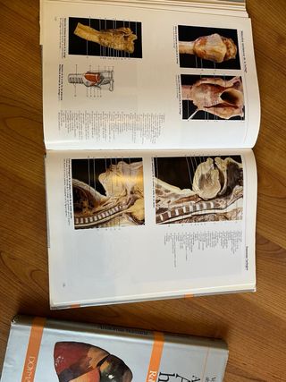 Coleccion atlas forograficos de anatomia humana