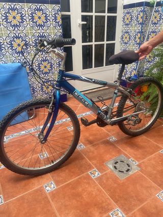 Bicicleta de montaña azul