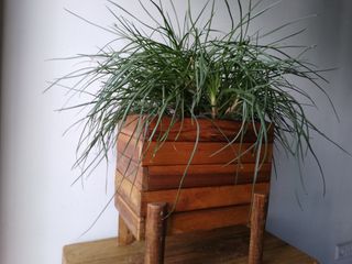 Jardinera con patas de Madera