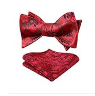 Pajarita y Pañuelo de Fiesta