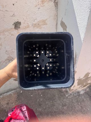 Lote Macetas Cultivo Interior