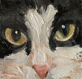 Pittura a olio per gatti!