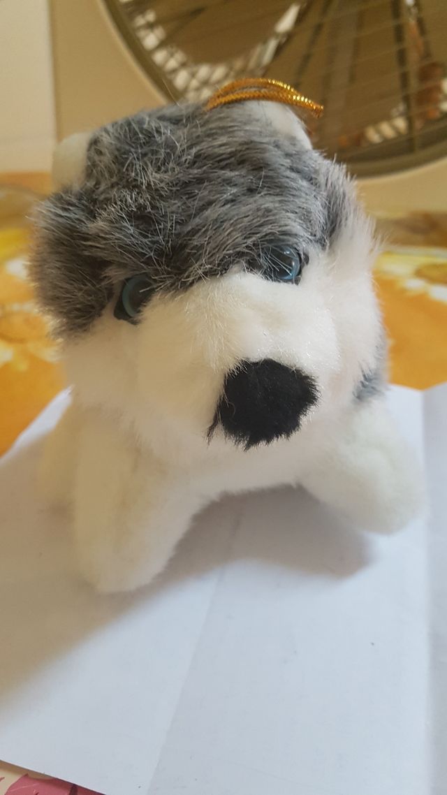 Peluche perro husky