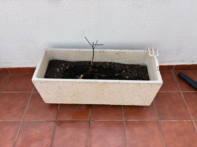Maceta Jardinera de granito. Oportunidad
